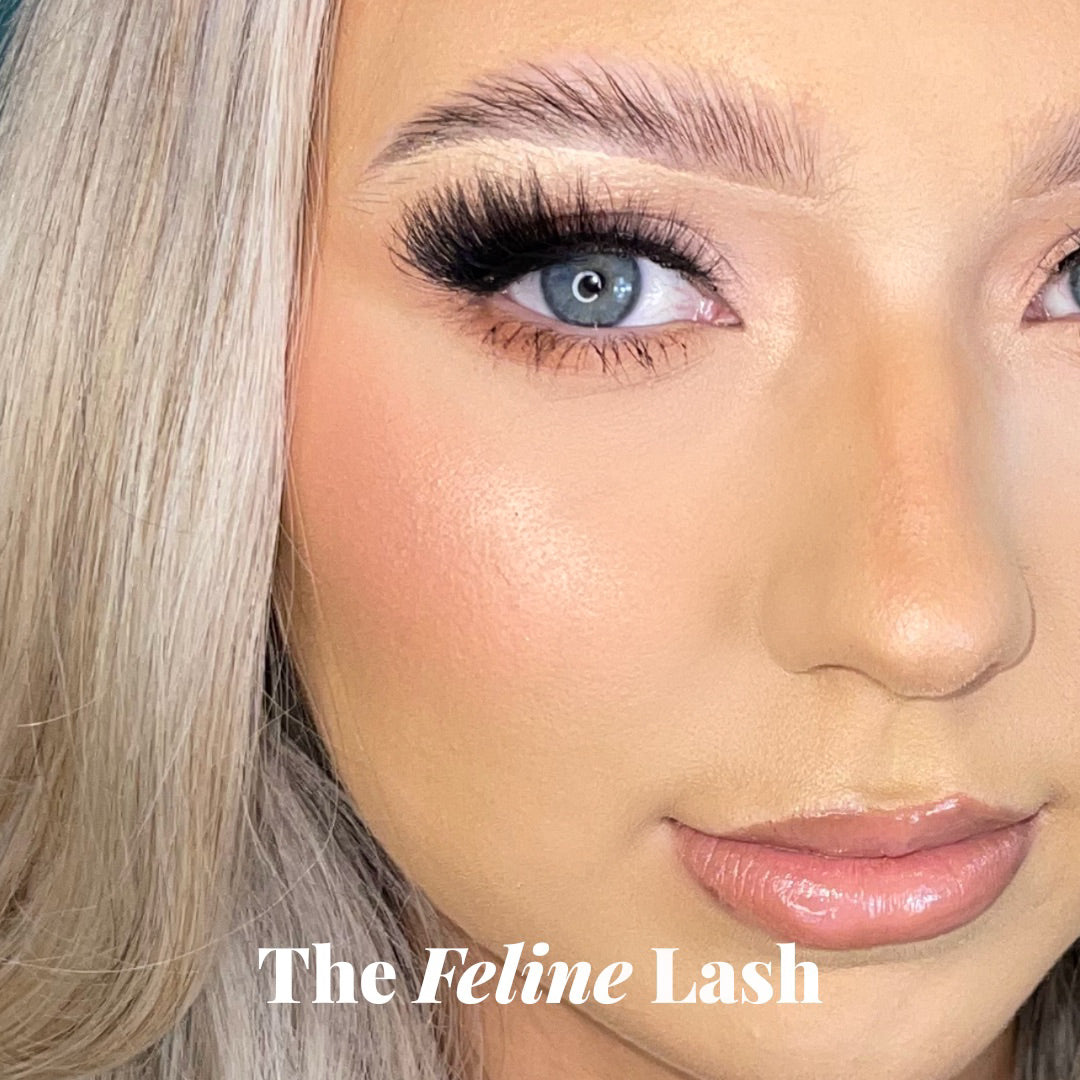 The Feline Lash