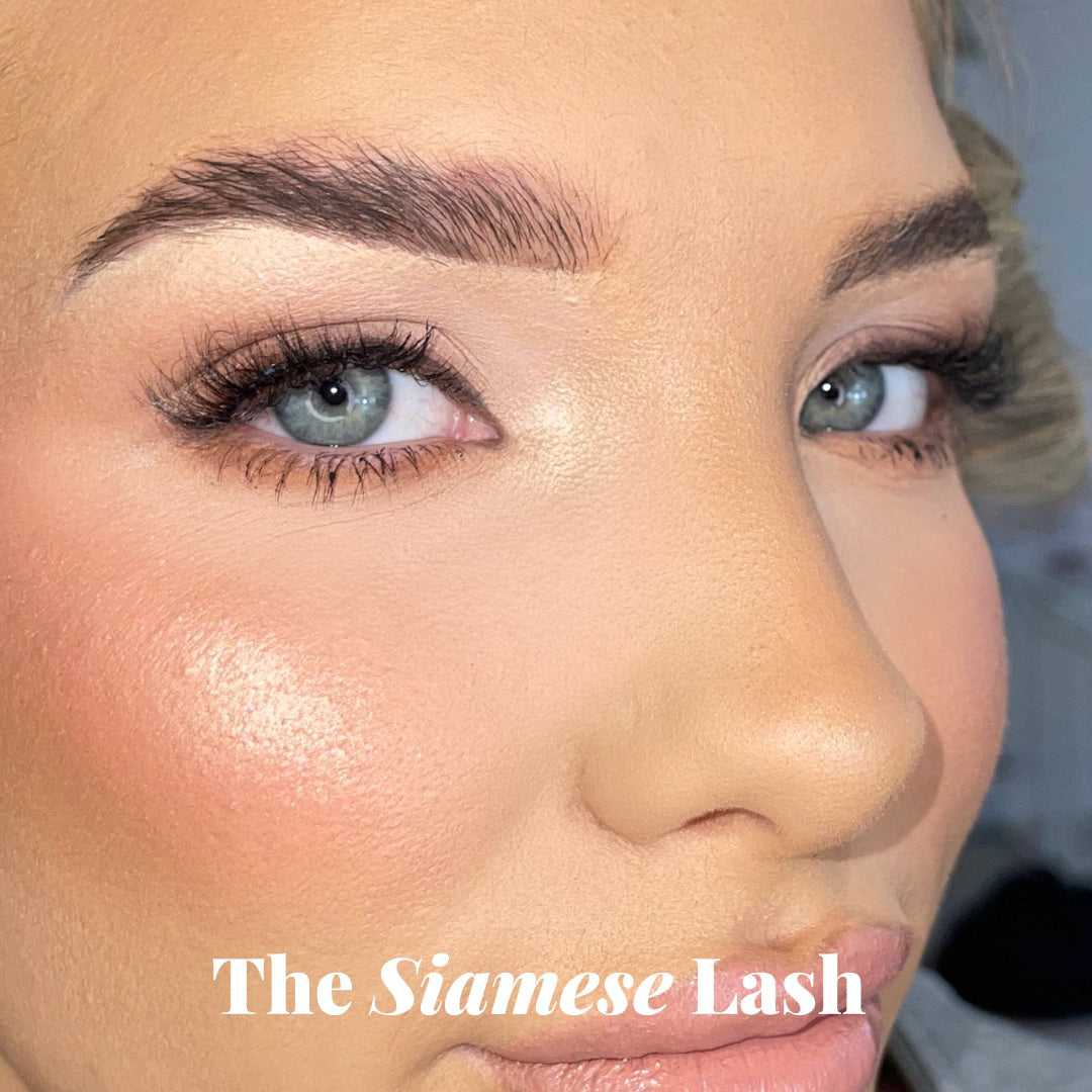 The Siamese Lash